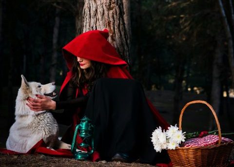 The Timeless Journey of the Storyteller